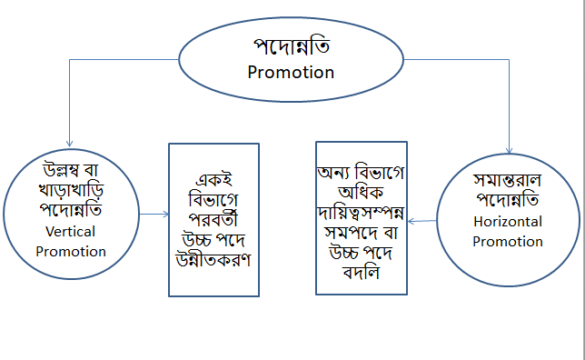 পদোন্নতি কত প্রকার ও কী কী
