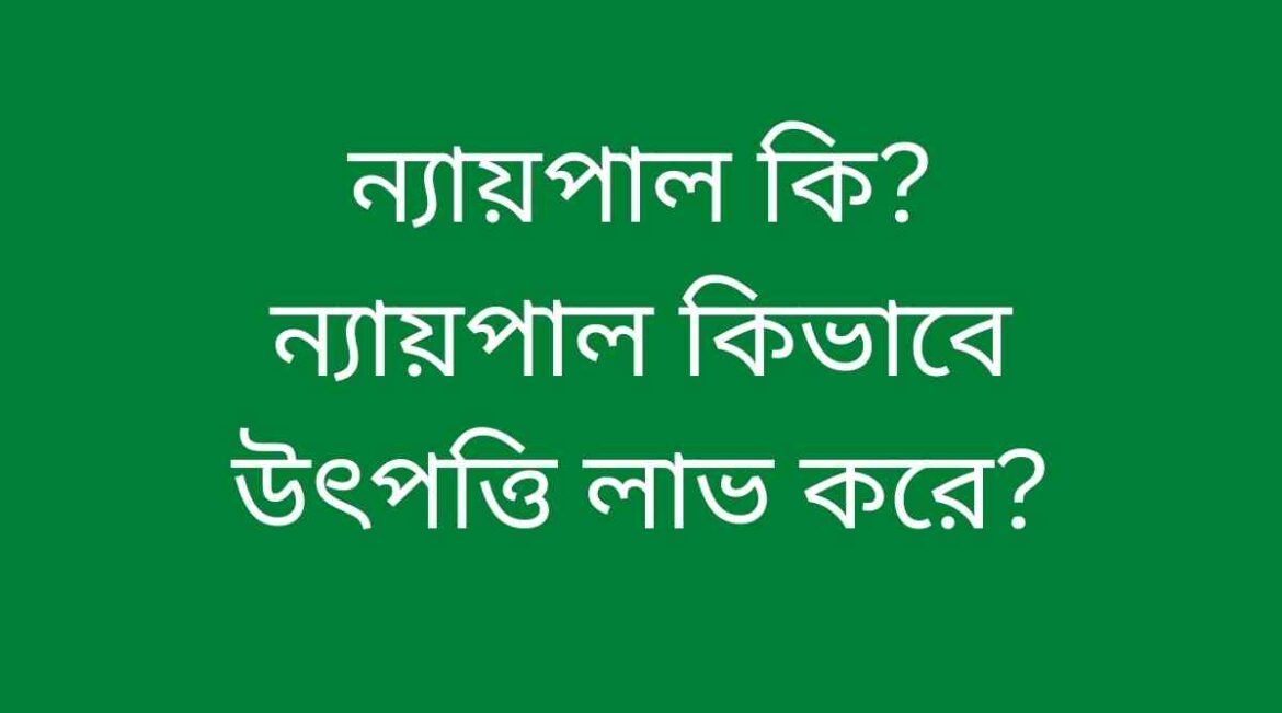 ন্যায়পাল কি