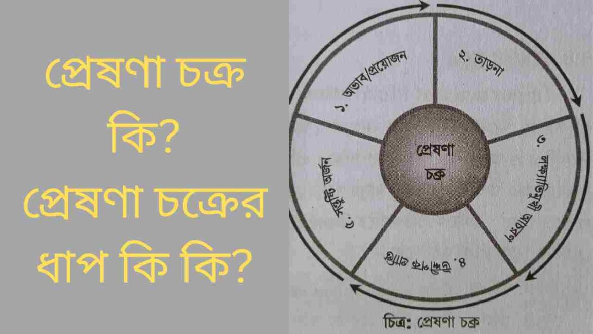 প্রেষণা চক্র কি প্রেষণা চক্রের ধাপ কি কি প্রেষণা চক্র কি