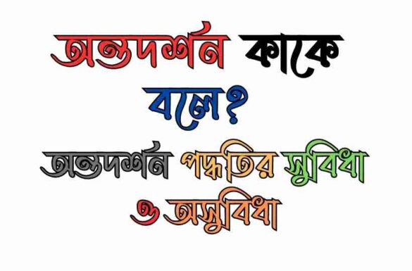অন্তদর্শন কাকে বলে অন্তদর্শন পদ্ধতির সুবিধা ও অসুবিধা