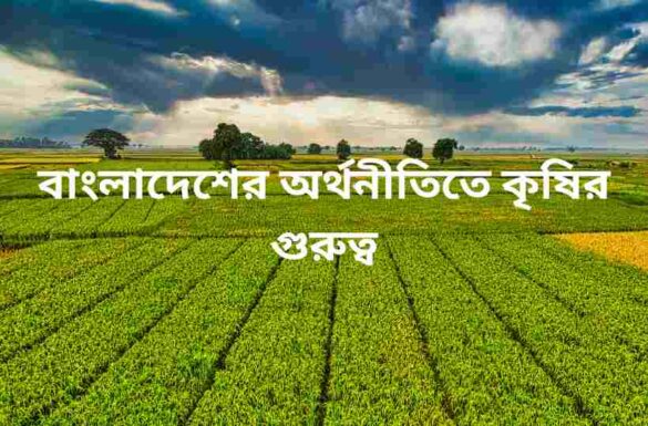 বাংলাদেশের অর্থনীতিতে কৃষির গুরুত্ব