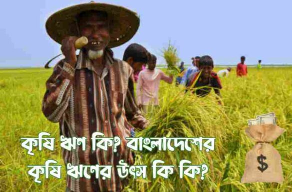 কৃষি ঋণ কি, কৃষি ঋণ কী, কৃষি ঋণ, বাংলাদেশের কৃষি ঋণের উৎসগুলো কি কি, কৃষি ঋণের উৎস কি কি,