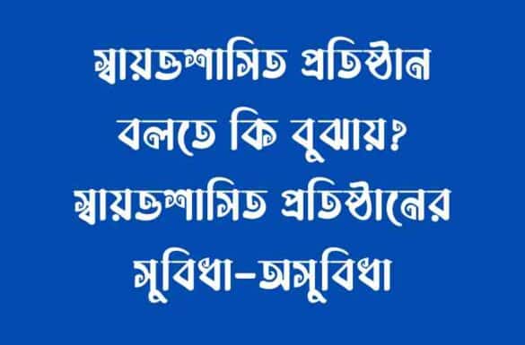 স্বায়ত্তশাসিত প্রতিষ্ঠান বলতে কি বুঝায়,